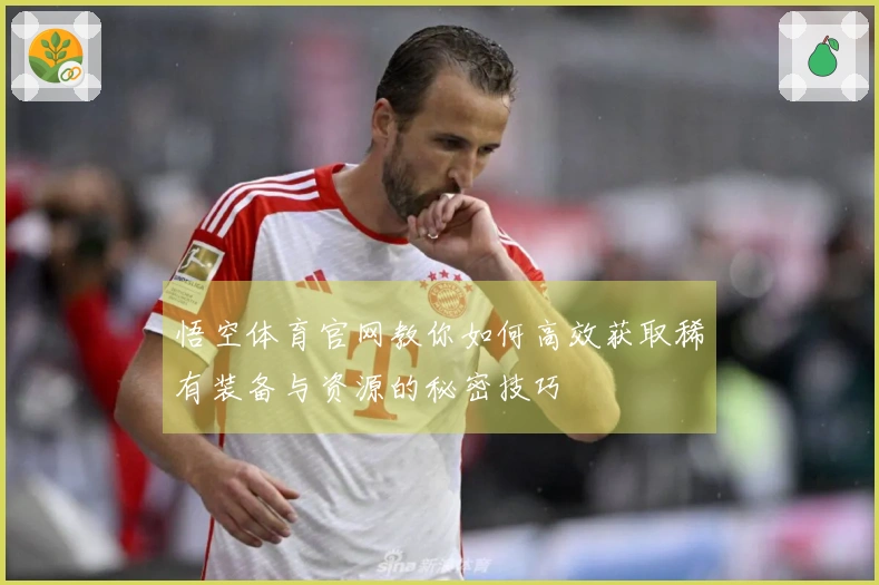 悟空体育官网教你如何高效获取稀有装备与资源的秘密技巧