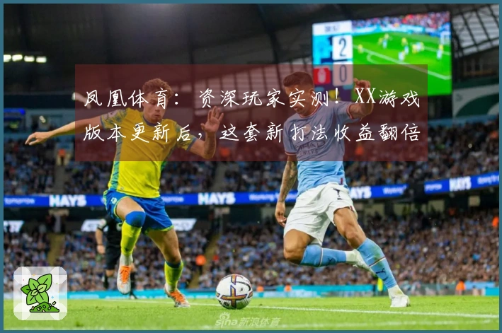 凤凰体育：资深玩家实测！XX游戏版本更新后，这套新打法收益翻倍的秘密在此揭晓