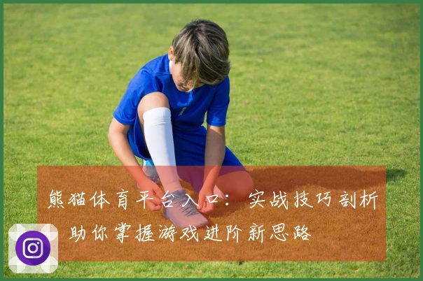 熊猫体育平台入口：实战技巧剖析，助你掌握游戏进阶新思路