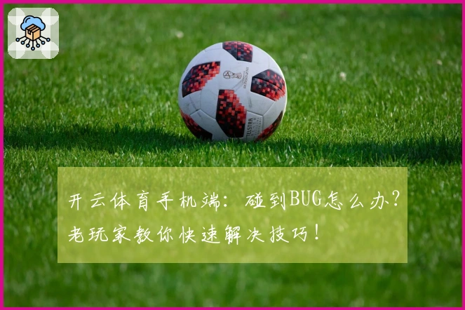 开云体育手机端：碰到BUG怎么办？老玩家教你快速解决技巧！