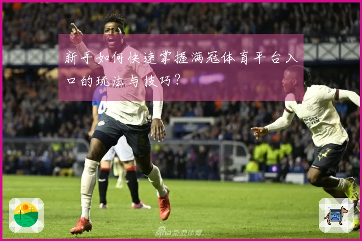新手如何快速掌握满冠体育平台入口的玩法与技巧？
